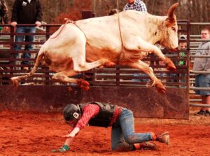 dangerous sports bull riding
