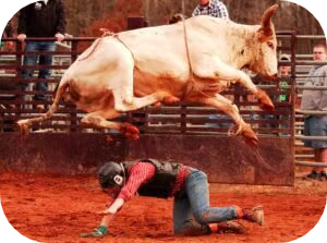 life insurance for bull riding